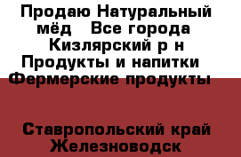 Продаю Натуральный мёд - Все города, Кизлярский р-н Продукты и напитки » Фермерские продукты   . Ставропольский край,Железноводск г.